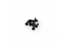 Hitec Servo Horn Screw (Metal Gear Servos) X10