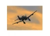 Seagull JU-87 Stuka Giant Scale (40-50cc) (SEA-284)