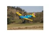 Seagull PT-19 Giant Scale (SEA-136)