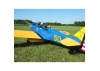 Seagull PT-19 Giant Scale (SEA-136)