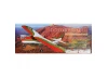 Seagull Boomerang 40-46 Trainer (SEA-27)