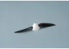 J Perkins Folding Carbon Prop Set 6X3 Elec.Flight