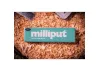 Milliput Turquoise Blue (10pcs)