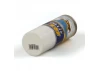 Styro-Colour Foam Safe Spray Paint - Gloss Varnish (002)(150Ml)