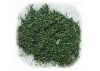 J Perkins Fine Scatter Meadow Green (Js11)