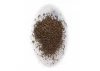 J Perkins Fine Scatter Sandstone (Js33)