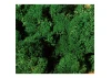 Heki 3211 Std. Lichen Dark Green