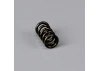 Force As1220 Barrel Stop Screw Spring