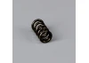 Force As1220 Barrel Stop Screw Spring
