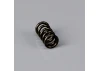 Force As1220 Barrel Stop Screw Spring