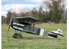 Belair Fokker DVII