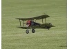 Belair Sopwith Pup 36 Inch