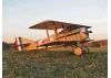 Belair Spad 13 - 36 Inch