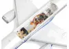E Flite Micro Boeing 787 Dreamliner Twin 30mm EDF - BNF Basic