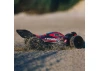 Arrma Typhon 6S V4