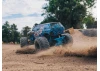 Arrma Gorgon MT - Blue