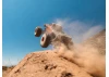 Arrma Quake 223S BLX