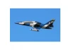 Arrows Hobby L39 50mm PNP - with Vector Stabilisation System