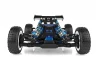 Team Associated Reflex 14B Buggy Kit