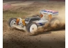 Team Associated Reflex 14B Buggy Classic Kit