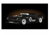 Associated SR7 Hoonigan RTR