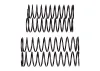 Team Associated Rival MT10 Shock Spring Set