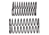 Team Associated Rival MT10 Shock Spring Set