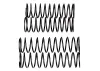 Team Associated Rival MT10 Shock Spring Set