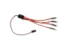 Team Associated Xp LED Rock Light Set 150mm