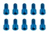 Associated RC12R6 Rear Hub Screw
