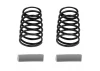 Associated RC10F6 Side Springs Grey 5.2 LB/In