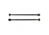 Associated CVA Bone T5M