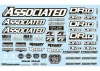 Team Associated DR10 Decal Sheet