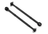 Associated CVA Bone B5/B5M