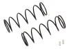 Associated 12mm Big Bore Spring 54mm 4.10Lb