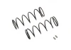 Associated 12mm Big Bore Spring 54mm 4.45Lb