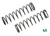 Associated 12mm Big Bore Spring 72mm 2.20Lb