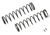 Associated 12mm Big Bore Spring 72mm 2.60Lb