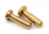 Axial EXO Steering King Pin (TiN Coated) (2)