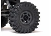 Axial UTB10 Capra RTR