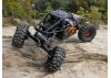 Axial UTB10 Capra RTR