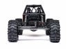Axial UTB10 Capra RTR