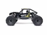 Axial UTB10 Capra RTR