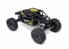 Axial UTB10 Capra RTR