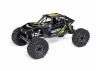 Axial UTB10 Capra RTR
