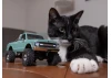 Axial SCX30 - Chevrolet K10