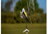 Blade Revolution 235 CP - RTF Basic
