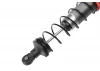 Corally Shock Spring Cup - Composite - 4 Pcs