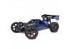 Corally Asuga XLR 6S