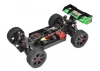 Corally Asuga XLR 6S